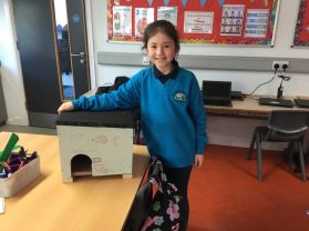 Eco Schools Hedgehog Hotels!