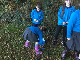 Eco Schools Hedgehog Hotels!